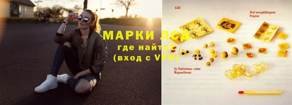 сатива Армянск