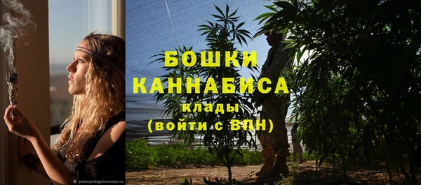 дмт Ессентукская