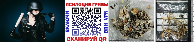 Галлюциногенные грибы MAGIC MUSHROOMS  Белый 